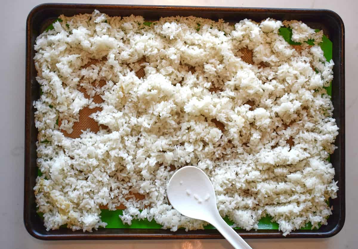 cooked rice being spread onto a baking sheet