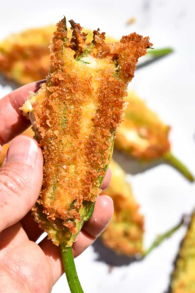 close up of a stuffed squash blossom