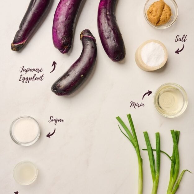Ingredients for miso eggplant, including eggplant, salt, miso paste, sake, mirin, sugar, neutral oil, and green onion.