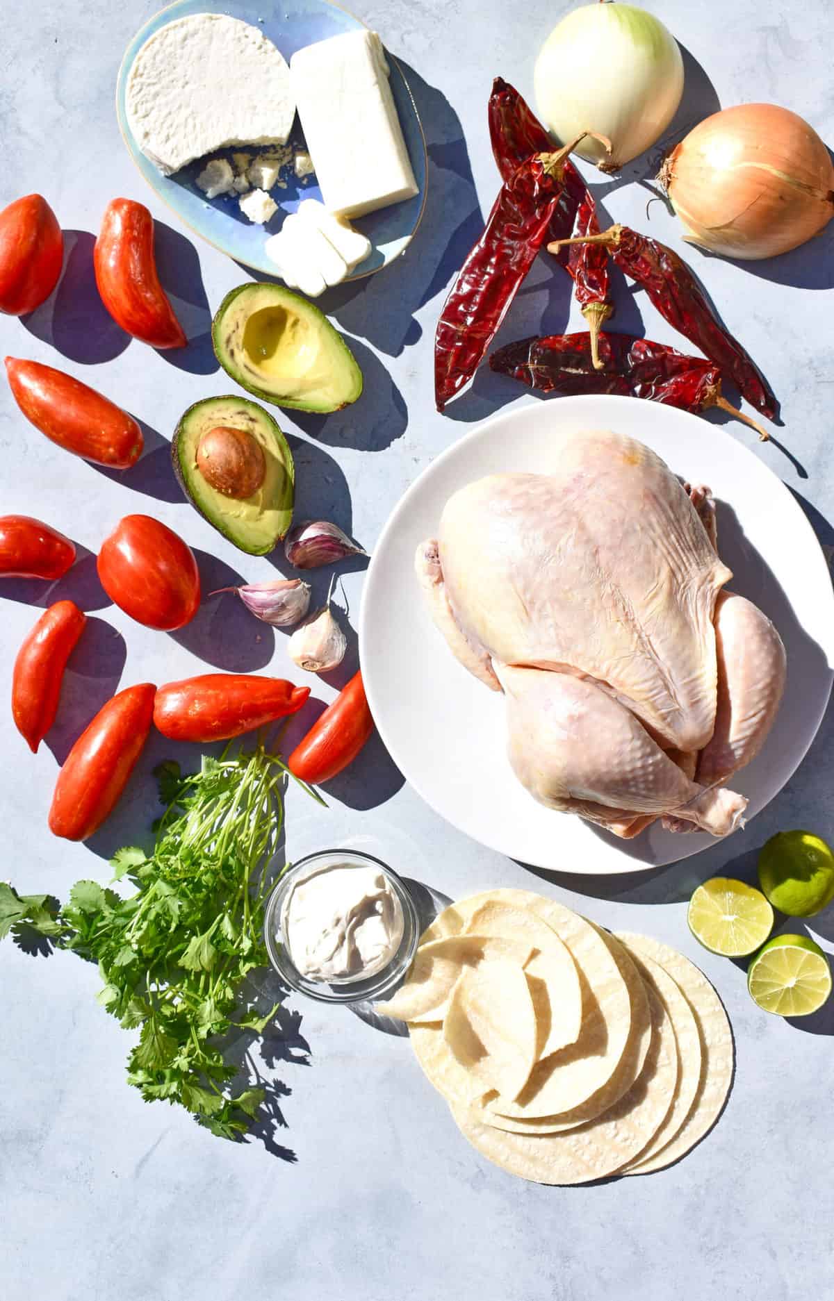 chicken, avocado, onions, herbs and tortilla with other ingredients