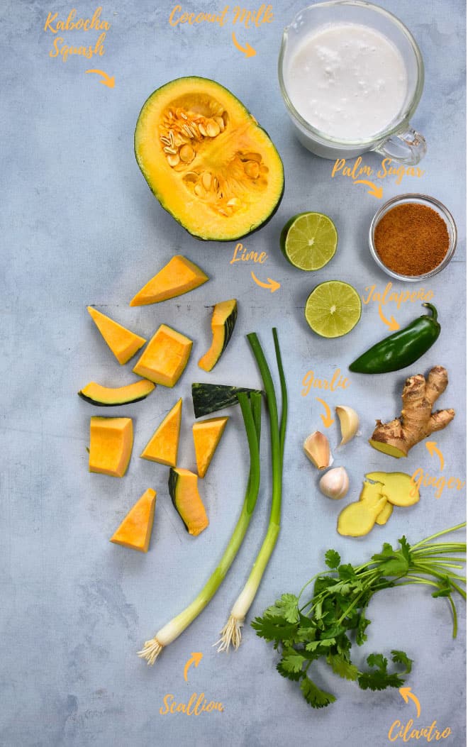 ingredients for soup: squash, lime, green onion, ginger etc.