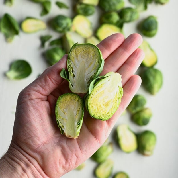 Hand holding three halved Brussels sprouts with a pile of whole and cut Brussels sprouts below.