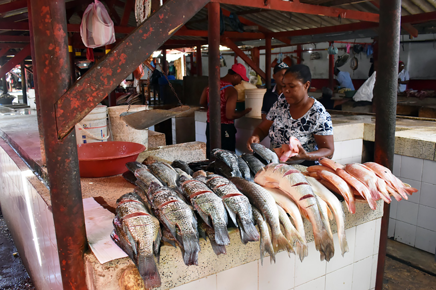 a fish stand with people shopping