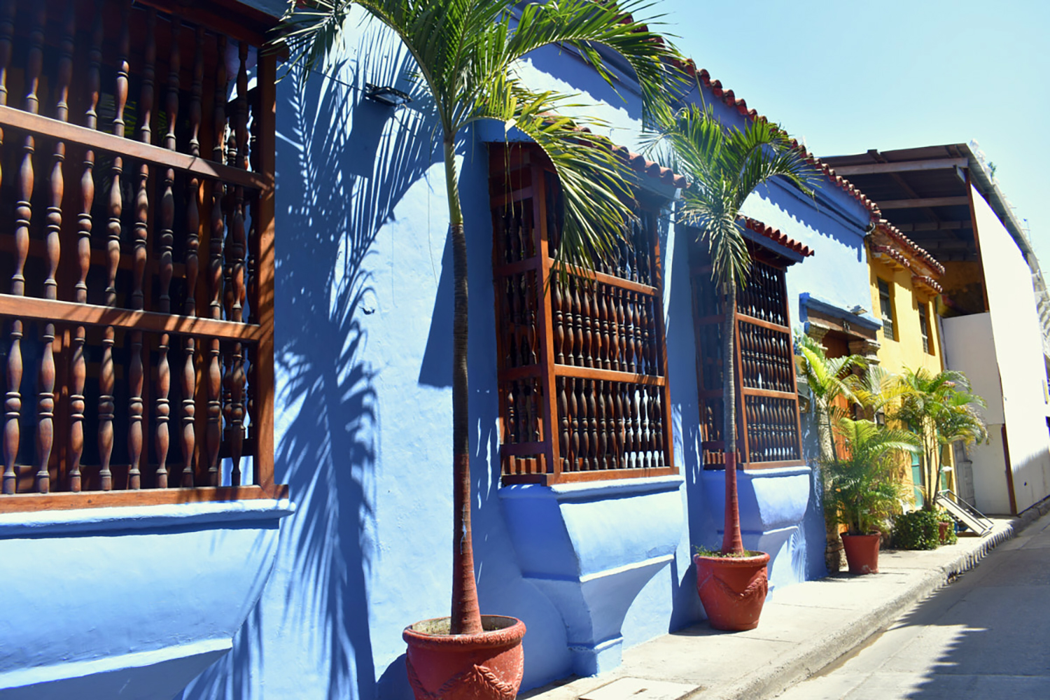 a photograph of a street with colorful walls and palm trees