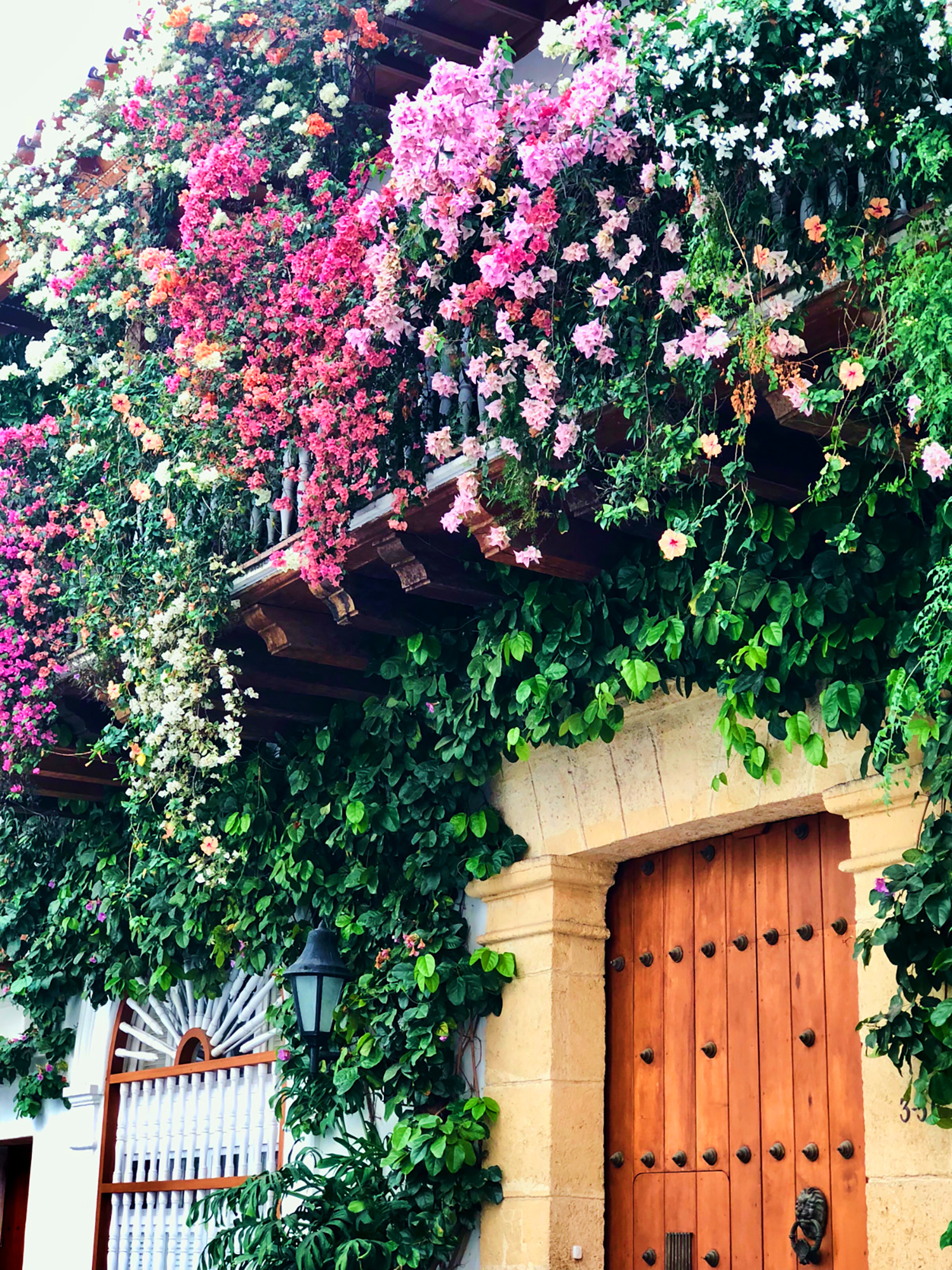 colorful pink and purple flowers hanging over an ornate wooden doorway