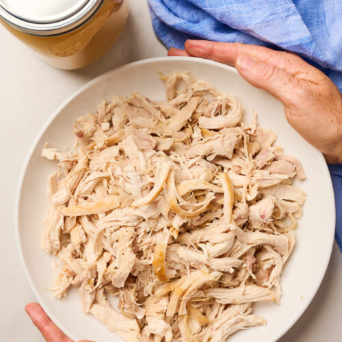 Hands holding a finished bowl of freshly shredded chicken