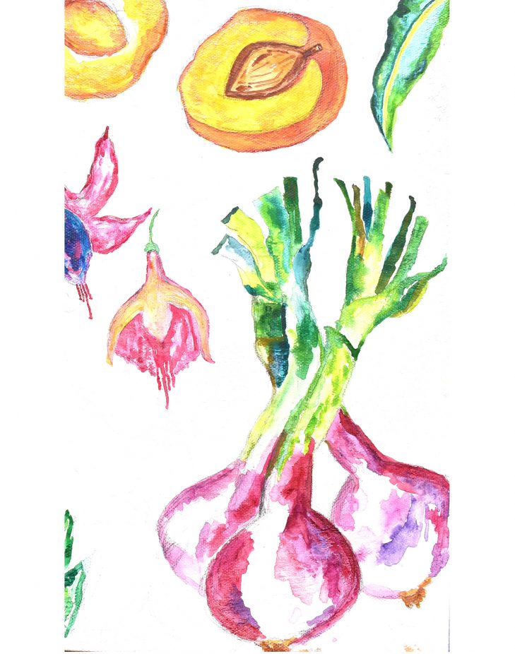 watercolor of two onions and other fruit and vegetables