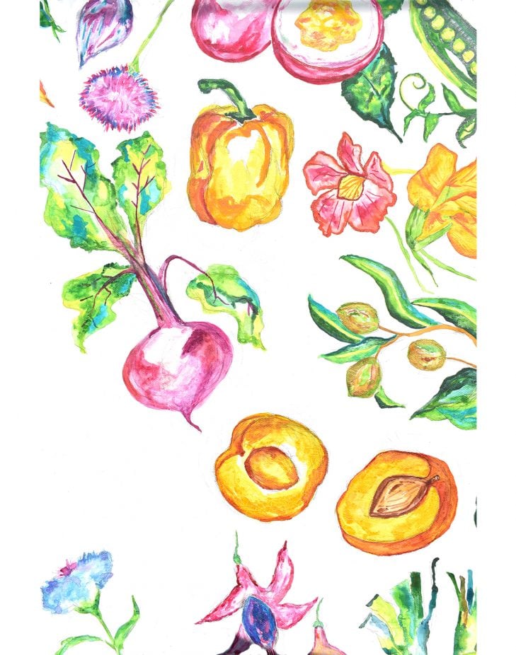 watercolor picture of beets, apricots, peppers and flowers